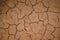 Texture of a dry ground. Red limestone