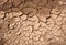 Texture of dry soil. dried and cracked earth from thirst in summer heat, as background texture. closeup.