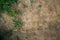 Texture of the earth with grass, cobblestones, stones.mountain landscape, steppe, forest-steppe