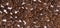 Texture elite brown coffee beans background