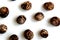 texture of empty snail shells on white background