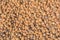 Texture of expanded clay aggregate gravel. Orange clay material for construction