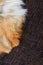 The texture of the fabric chanel large weave and natural fur, brown with place for your text