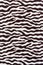 Texture of fabric stripes zebra