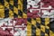 Texture of the Flag of Maryland on a decorative bark.