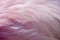 Texture Flamingo feather abstract background