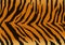 Texture - a fluffy skin of a tiger