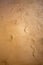 Texture of the footprints of tourists in the fine sand of the Benidorm beach as they stroll along th