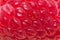 The texture of fresh ripe raspberry. Berry closeup