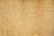 Texture of freshly sawn wood, background, closeup