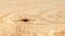 Texture of freshly sawn wood, background, closeup