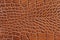 Texture of genuine leather close-up, brown color, embossed under the skin of reptile, croco. For background