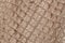 Texture of genuine leather close-up, embossed under the skin a light-brown crocodile, background