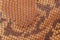 Texture of genuine leather close-up, embossed under skin reptile, brown color, background