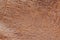 Texture of genuine leather close-up, embossed under skin reptile, brown color, exotic reptile, matte surface, trendy