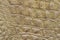 Texture of genuine leather close-up, khaki, embossed under the skin of reptile, croco. Trendy pattern