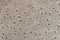 Texture of genuine matte leather close-up, embossed with floral perforated pattern. For modern pattern, wallpaper or