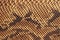 Texture of genuine matte rough leather close-up, embossed under the skin of scaly brown reptile. For modern pattern