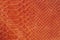 Texture of genuine rough leather close-up, imitation of the skin of scaly exotic reptile, fashion bright orange red