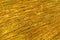 Texture of gold color straw,abstract background
