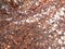 Texture gold sequins sparkling sequined textile background