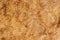 Texture of golden brown genuine leather, trendy reptile pattern