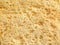 Texture: golden crust of corn bread close up - background