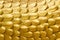 Texture of golden dragon skin