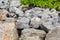 Texture. Gray Big rocks stones on the beach Tide fencing. Sunny day bushes at the top