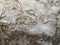 Texture gray multi-layered beautiful natural textured mineral carved with cracks and roughness of old dry peeling stone, stone wal