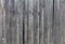 The texture of a gray windy wooden fence made of unpainted wood with rusty nails. A high resolution