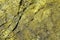 Texture of a green rock, mineral background