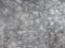 Texture of a grey spotted horse animal coat. Grey and white hair horse skin - real genuine natural fur, free space for text. Horse