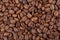 Texture of Guatemala Maragogype gourmet coffee .