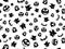 Texture Halloween Black White. ghost, pumpkin, witch, bat. pattern repeated seamless