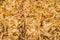 The texture of the haystack. Background of dry yellow hay