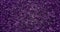 Texture Heart violet purple