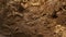 Texture layers of earth. Cross section of brown underground soil layers beneath. Natural cut of soil with different layers