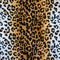 Texture of leopard leather