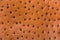 Texture of light brown genuine ostrich leather, background