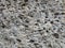 Texture of a limestone rock with holes