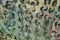 Texture military camouflage nets or green leaf camouflage for background