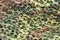 Texture military camouflage nets or green leaf camouflage for background