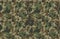 Texture military camouflage repeats seamless army green hunting. Print Textile Design Vector