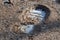 Texture of mud with footprint of shoes