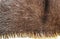 The texture of natural fur European mink.