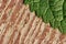 Texture of nettle leaf on wood