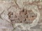 Texture of old brick wall with collapsed plaster. Background of shabby building surface. Destroyed brick wall with fallen plaster