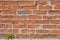 Texture of old brickwork with a sprouting tree sprout, brick wall background with grass