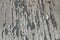 Texture of old dark grey wooden wall with cracking white paint